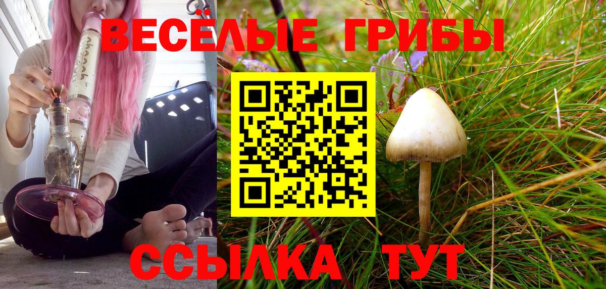 Псилоцибиновые грибы прущие грибы  Галлюциногенные грибы прущие грибы  Вход с VPN  Михайловка 
